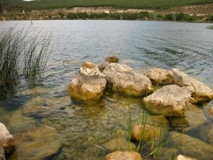 Lacul de lângă munte