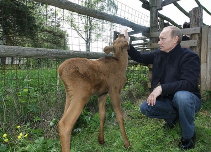 Parcul insulei Moose