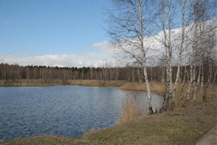 Parcul insulei Moose