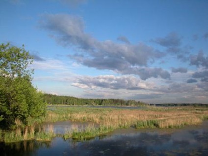 Parcul insulei Moose