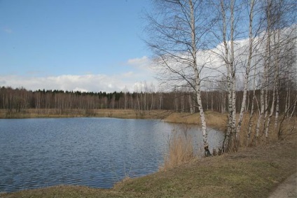 Parcul insulei Moose