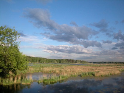 Парк Лосиний острів