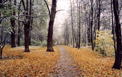 Парк Лосиний острів