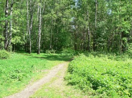 Parcul insulei Moose