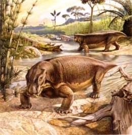 Перші найдавніші рептилії