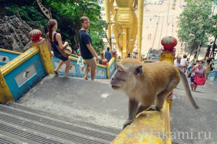 Batu peșteri în Kuala Lumpur