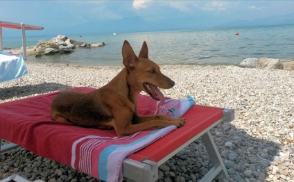 Peschiera del Garda - o mică stațiune pe un lac mare