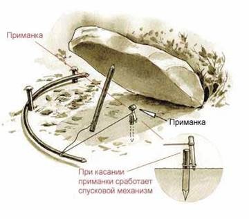 Плашка на соболя, білку, куницю