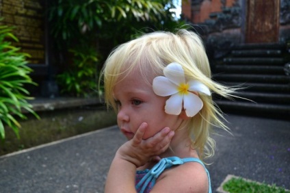 Plumeria vagy frangipani, mágikus virágok életem, az élet egy blog egy álom! (Saját) Plumeria vagy frangipani, mágikus virágok életem, az élet egy blog egy álom!