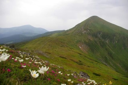 Підйом на Говерлу влітку поради, фото, відгуки