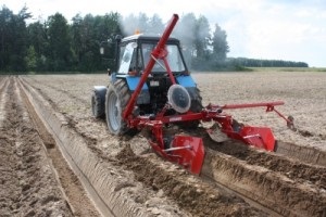 Plantarea cartofilor motoblock video cu un chiller, motoblock de lucru în grădină, curățare, propriu