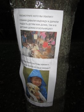 Póráz vagy életet, hogy a kutyák megölték a parkban - RIA Novosti (kutya) Póráz vagy életet, hogy a kutyák megölték a parkban - RIA Novosti