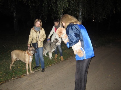 Повідець або життя за що гинуть собаки в парку - ріа новини