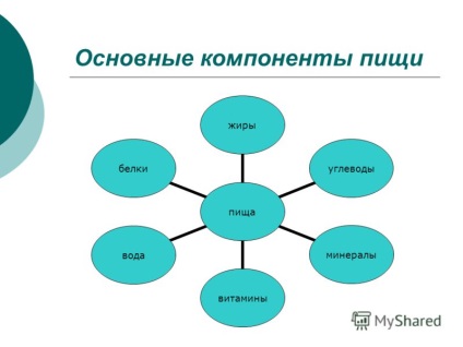 Prezentarea pe principalele componente ale alimentelor shcherbachenko l