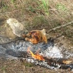 Főzés játék madarak - sok finom receptek a különböző körülmények között