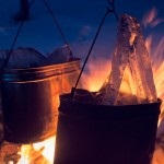 Főzés játék madarak - sok finom receptek a különböző körülmények között