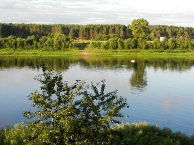 Natură, plante și animale din regiunea Vologda