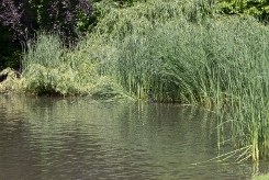 Приворот на воду річки ~ все про любовної магії