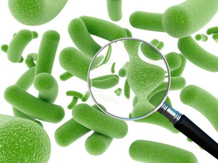 Probiotice și prebiotice - de ce sunt necesare și care este diferența lor
