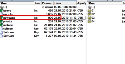 Firmware emulator și partajare pe skyway nano