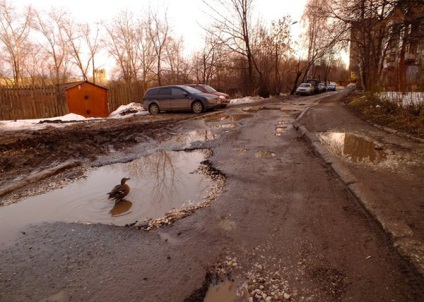 Простими словами що робити, якщо у дворі ями замість асфальту