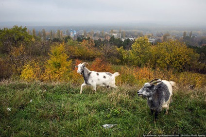 Călătorie spre Transnistria, proaspătă - cel mai bun Runet pentru zi!