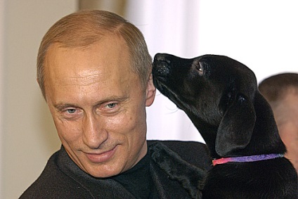 Putin și fotografii cu animale