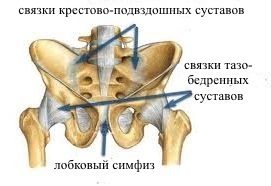 Ruptura ligamentelor articulației șoldului, sănătății și longevității