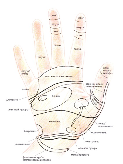 Рефлексотерапія стопи і кисті, рефлексотерапія