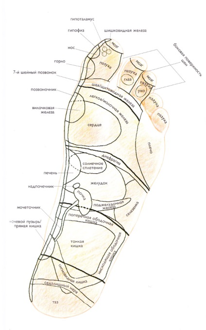 Рефлексотерапія стопи і кисті, рефлексотерапія