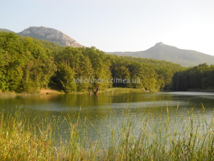 Horgászat a tavak Sokolov, Sokolov Lake, Vsevolozhsk kerület halászati múlt és a jelen (halászat) Horgászat a tavak Sokolov, Sokolov Lake, Vsevolozhsk kerület horgászat előtt és most