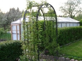 Garden arch fotó ötletek a kertben