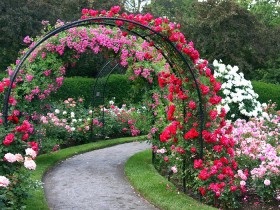 Садова арка фото ідеї для дачі