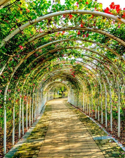 Garden boltív, a legjobb ötletek kert ívek fotók, minden, ami a felújítás