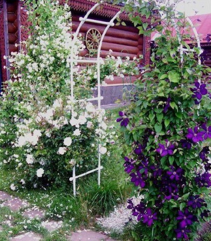 Arcul de grădină, topsadnik