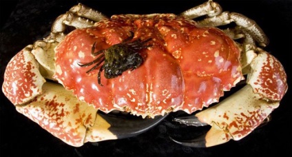 Cel mai mare crab din lume, înregistrări mondiale