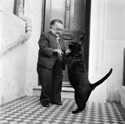 Найменший чоловік і його кіт - смішні анекдоти історії цитати афоризми віршики картинки