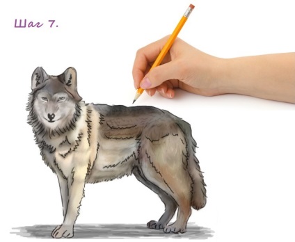 Зробити хвіст вовка - як зробити маску вовка маска вовка своїми руками