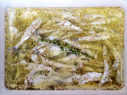 Anchovii de la capelinul ieftin