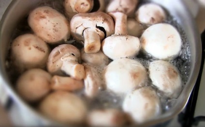 Cât de mult trebuie să gătești ciupercile până când sunt gata pentru sfaturi?
