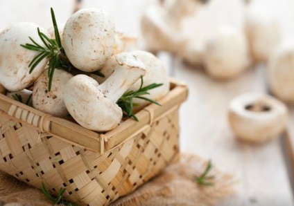Cât de mult trebuie să gătești ciupercile până când sunt gata pentru sfaturi?