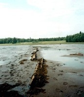 Солеваріння, smore