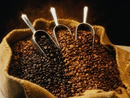Сорти кави 1