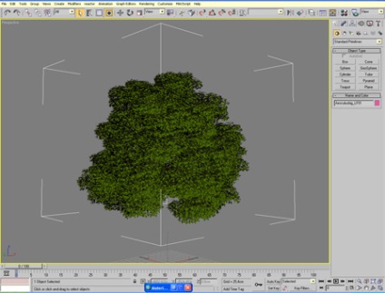 Crearea unui copac realist - lecții 3ds max