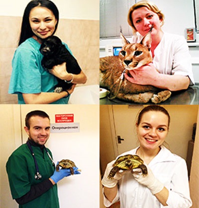 Status-veterinar, clinică veterinară, clinică veterinară, moscow