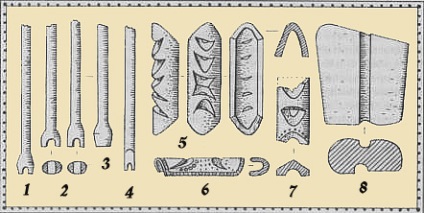 Arborele arbore, penajul, orificiul