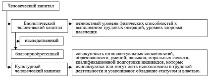 Сутність людського капіталу, його основні форми та значення для розвитку організації