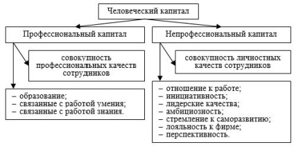 Сутність людського капіталу, його основні форми та значення для розвитку організації