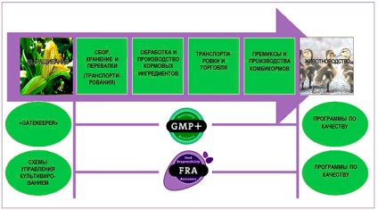 Схема сертифікації кормів gmp