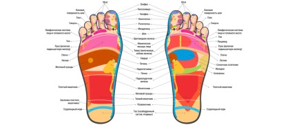 Scheme de zone reflexe ale picioarelor și mâinilor